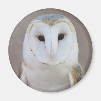 Imán Barn Owl Magnet