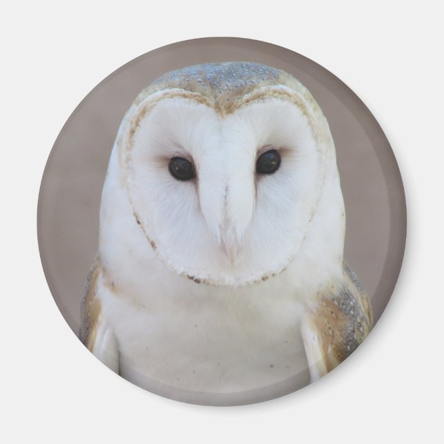 Imán Barn Owl Magnet (Frente)