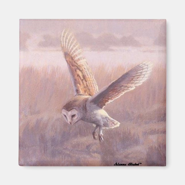Imán Barn Owl Square Magnet (Frente)