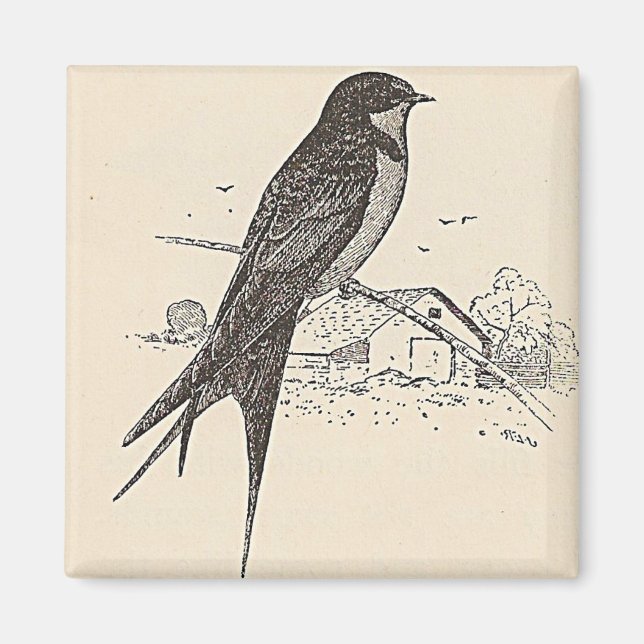 Imán Barn Tragar (Frente)