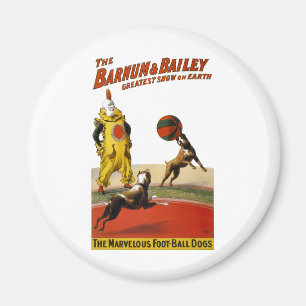 Imán Barnum y Bailey: Perros del fútbol