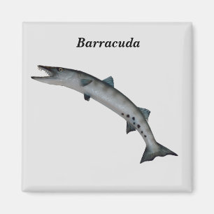 Imán Barracuda Game Fish