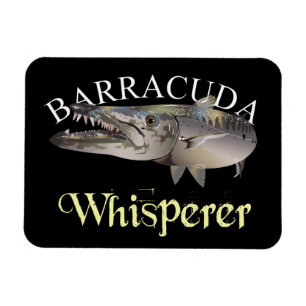 Imán Barracuda Whisperer de color oscuro