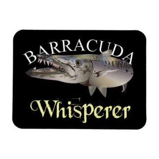 Imán Barracuda Whisperer de color oscuro