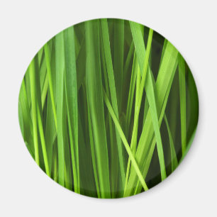 Imán Barras de hierba