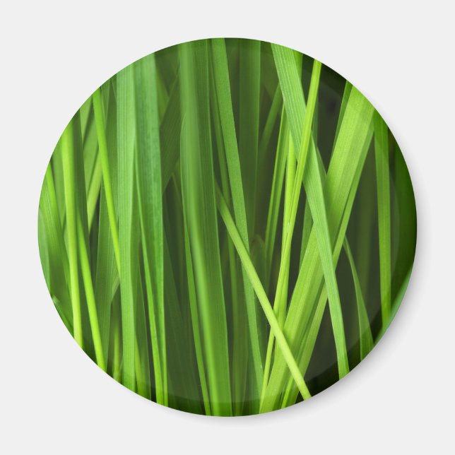 Imán Barras de hierba (Frente)