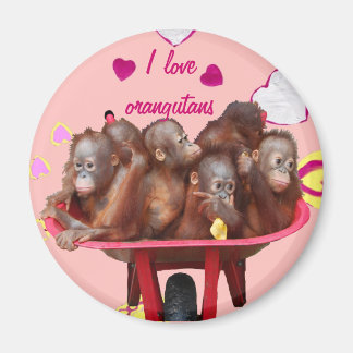 Imán Barrel of Monkeys Orangutan Babies