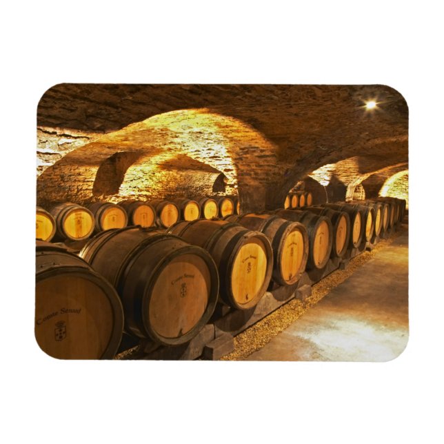 Imán barriles de roble en el sótano de Domaine Comte (Horizontal)