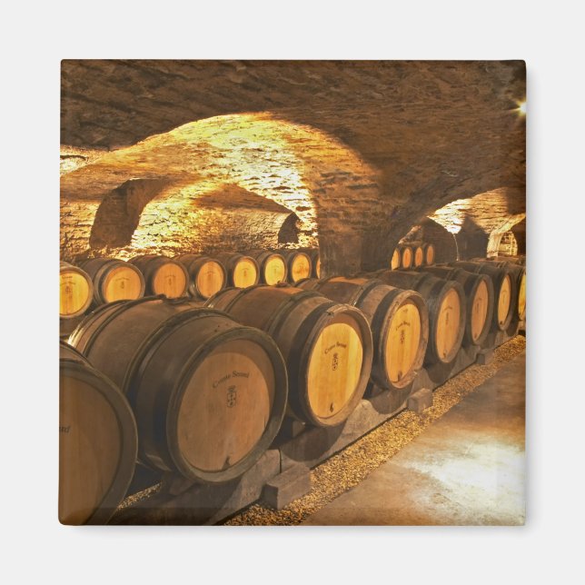 Imán barriles de roble en el sótano de Domaine Comte (Frente)