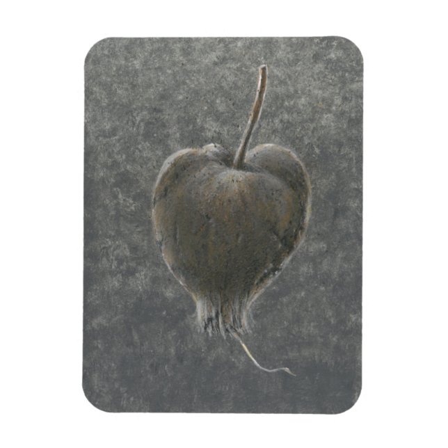 Imán Barringtonia Acutangula 2 (Vertical)