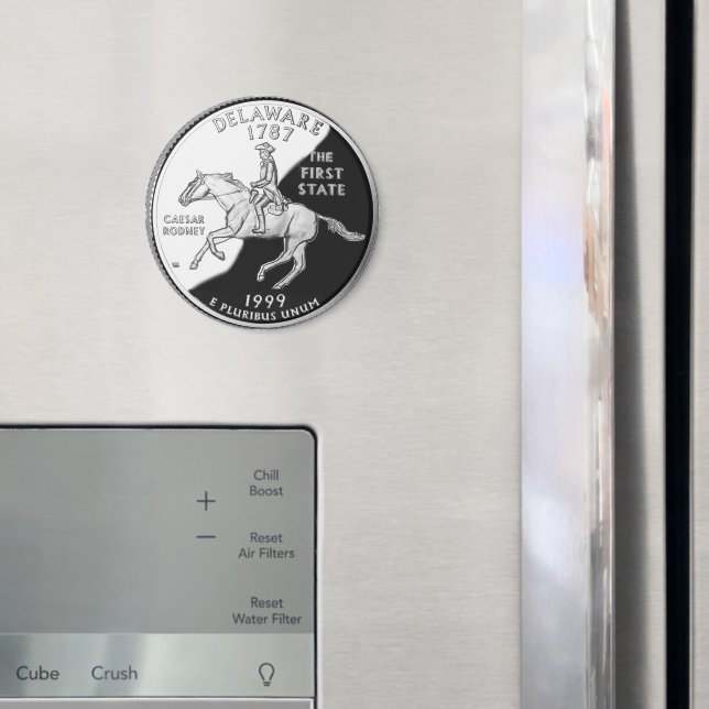 Imán Barrio Estatal de Faux Delaware (In situ (nevera))