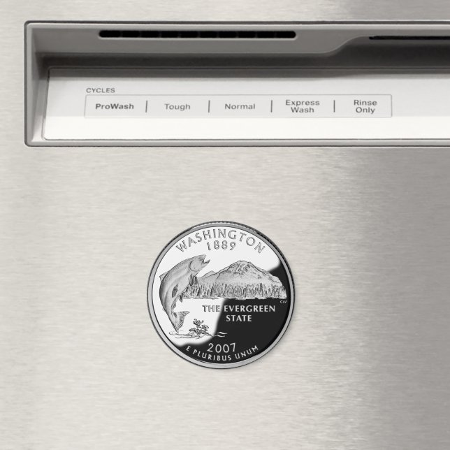 Imán Barrio Estatal de Faux Washington (In situ (lavavajillas))