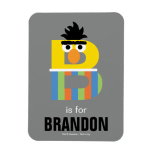 Imán Barrio Sésamo   B es para Bert