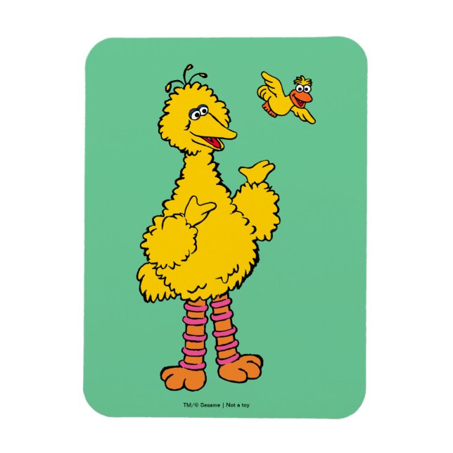 Imán Barrio Sésamo | Pájaros grandes y pequeños (Vertical)