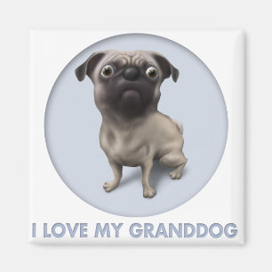 Imán Barro amasado Granddog