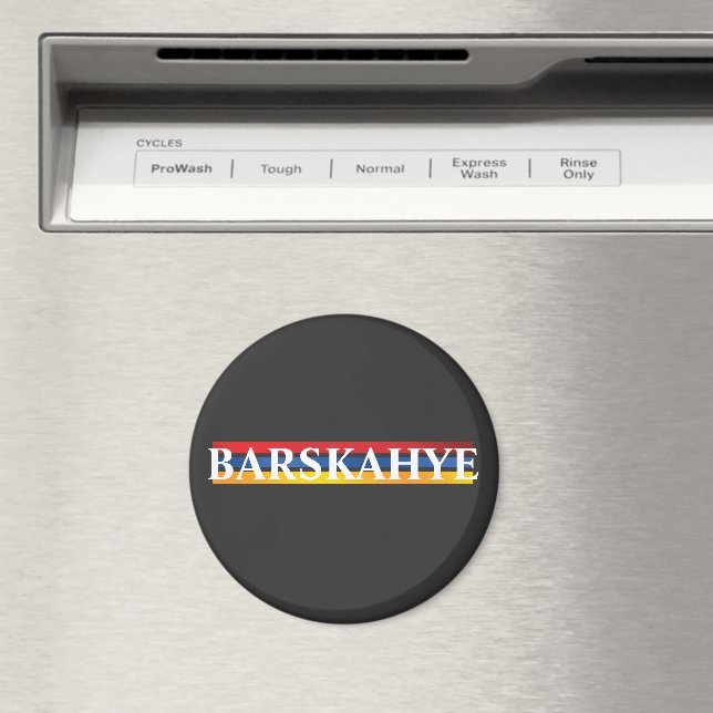 Imán Barskahye Magnet (In situ (lavavajillas))
