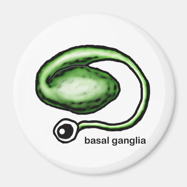 Imán Basal Ganglia Magnet (Frente)
