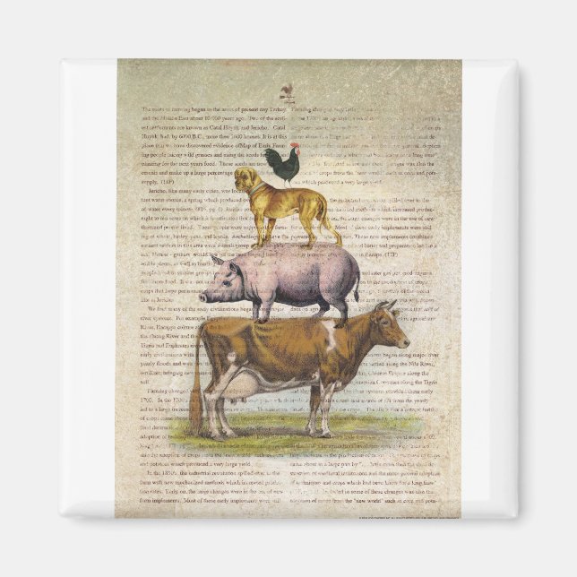 Imán Base de granjas NOB10 A1.tif (Frente)