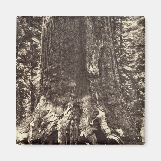 Imán Base del Gigante Grizzly, de 'The Yosemite Book (Frente)