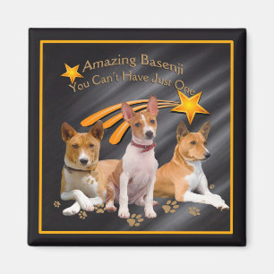 Imán Basenji usted no puede tener apenas uno