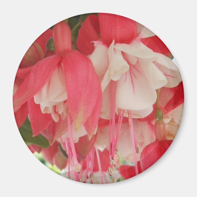 Imán Bashkirtseff (Frente)