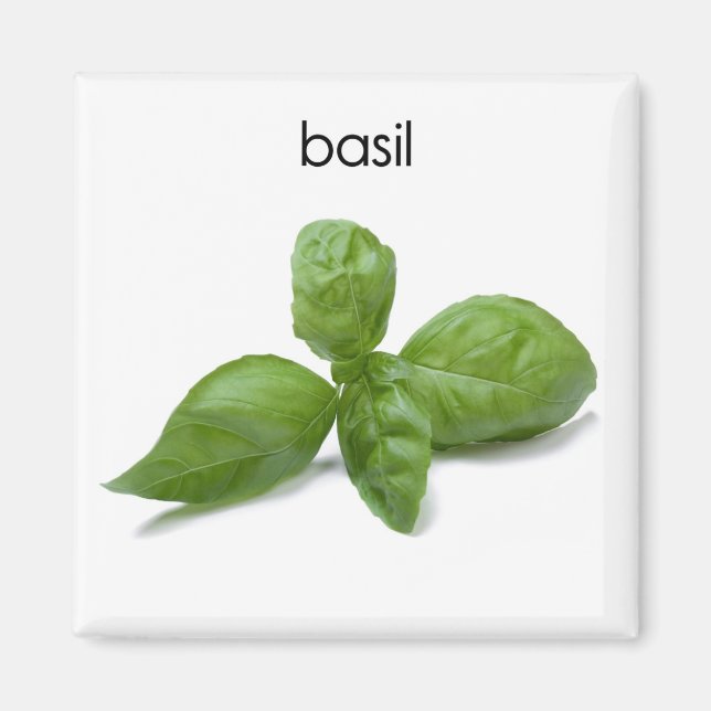 Imán Basil Refrigerator Magnet (Frente)