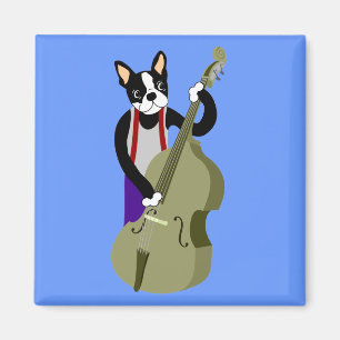 Imán Bass Player Boston Terrier