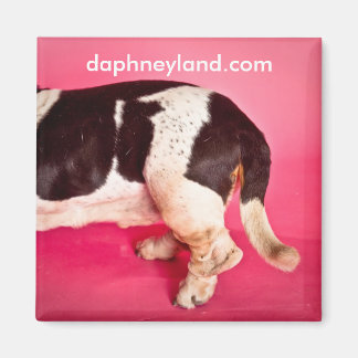 Imán Basset Butt Magnet