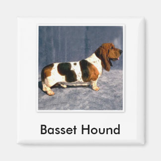 Imán basset_hound 2, enlace basset