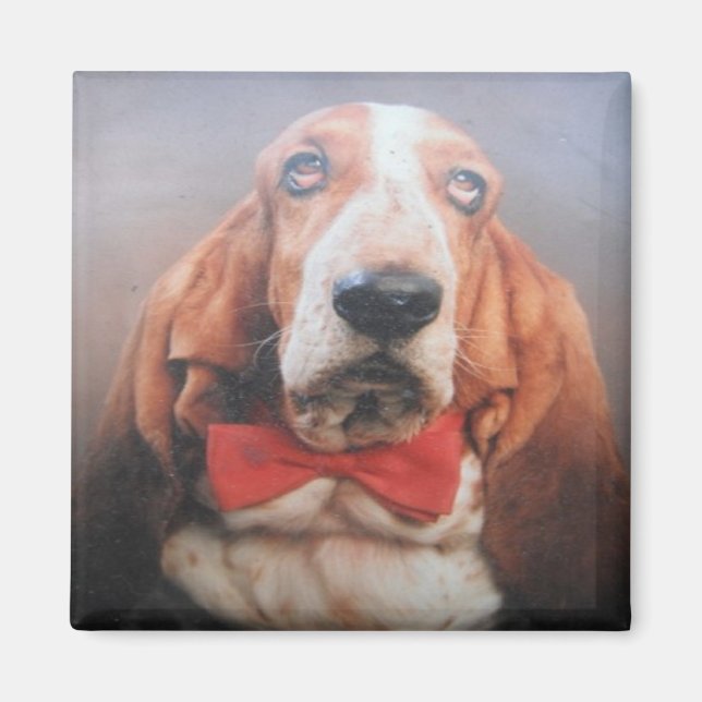 Imán Basset Hound Corbata de Lazo Roja (Frente)