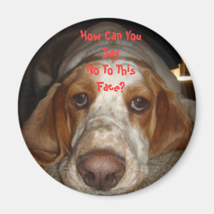 Imán Basset Hound Magnet