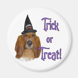 Imán Basset Hound Trick
