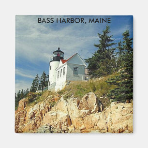 IMÁN BASURA, MAINE