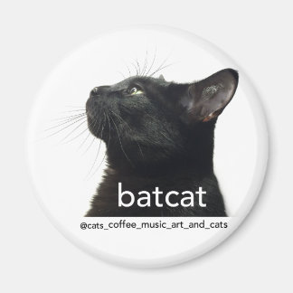 Imán Batcat: Magnet