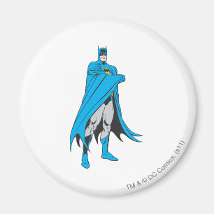 Imán Batman Stands 2 2
