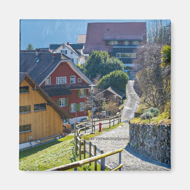 Imán Bauer Vierwald, Suiza (Frente)