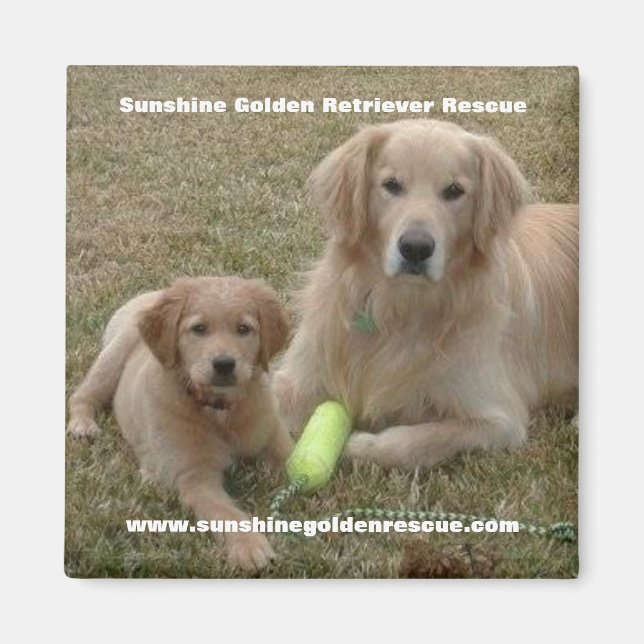 Imán Bayou Magnet - Sunshine Golden Retriever Rescue... (Frente)