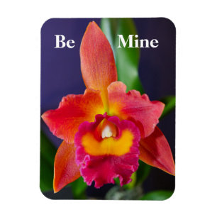 Imán Be Mine Naranja Orchid Flexible Magnet