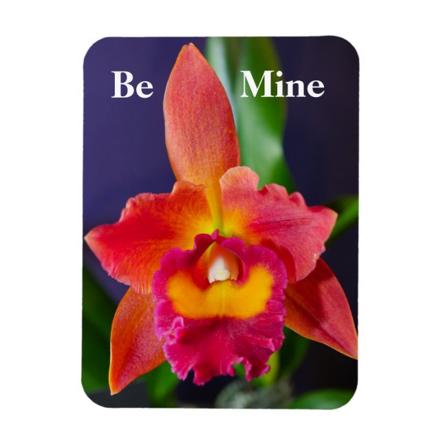 Imán Be Mine Naranja Orchid Flexible Magnet (Vertical)