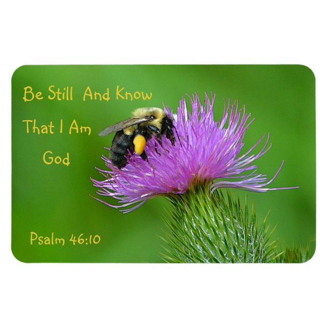 Imán Be Still Bumblebee (Horizontal)