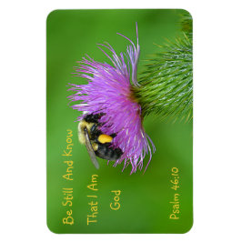 Imán Be Still Bumblebee