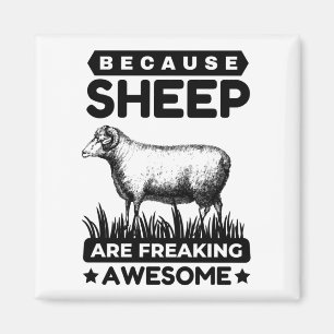 Imán Beacause Las Ovejas Se Están Quedando Impresionant