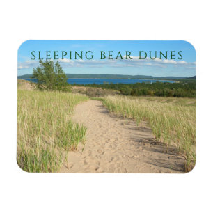 Imán Beach Grass, Sand, Sleeping Bear Trail, Michigan