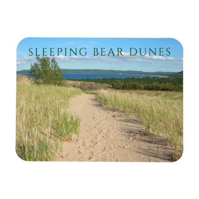 Imán Beach Grass, Sand, Sleeping Bear Trail, Michigan (Horizontal)