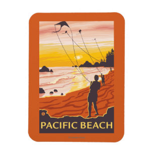 Imán Beach & Kites - Pacific Beach, Washington