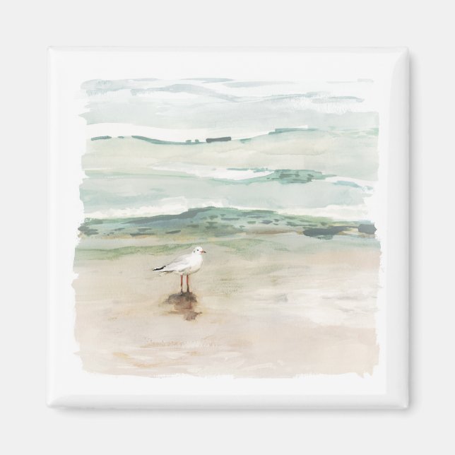 Imán Beach Seagull Cove (Frente)