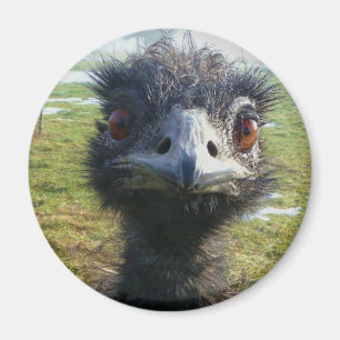 Imán Beady Eyes EMU