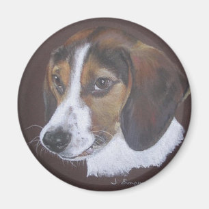 Imán Beagle