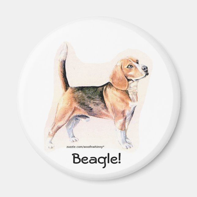Imán Beagle (Frente)
