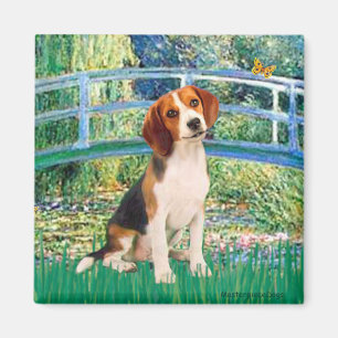 Imán Beagle1 - Puente